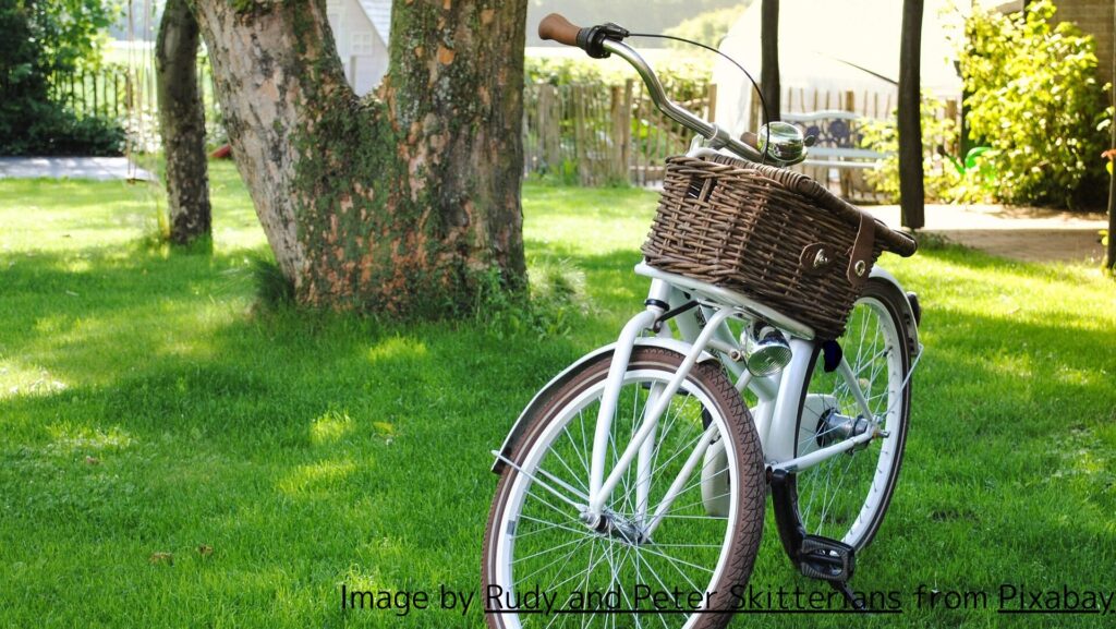 公園自転車